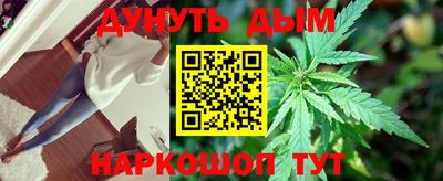ECSTASY Камышлов