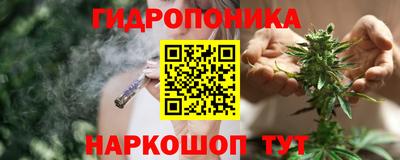 стаф Канаш