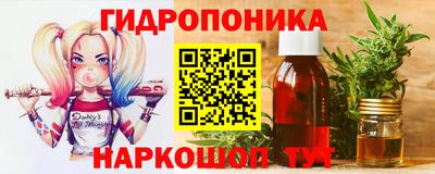 стаф Канаш