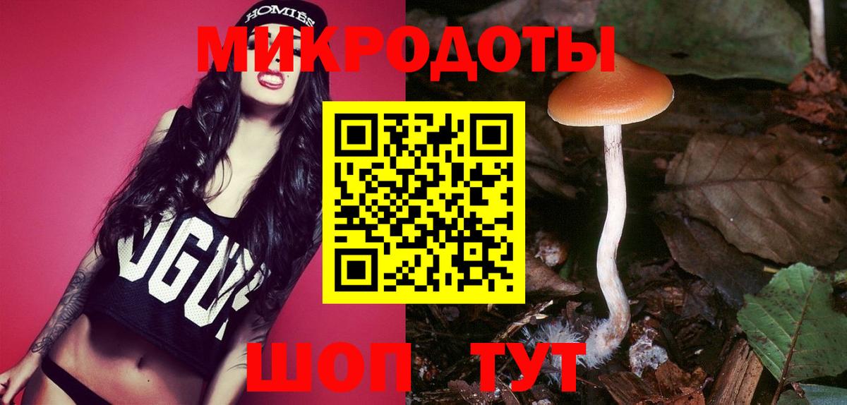 Галлюциногенные грибы GOLDEN TEACHER  Вход с VPN  Галлюциногенные грибы Psilocybine cubensis  Биробиджан 